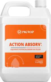 ACTION-ABSORV-scaled.png